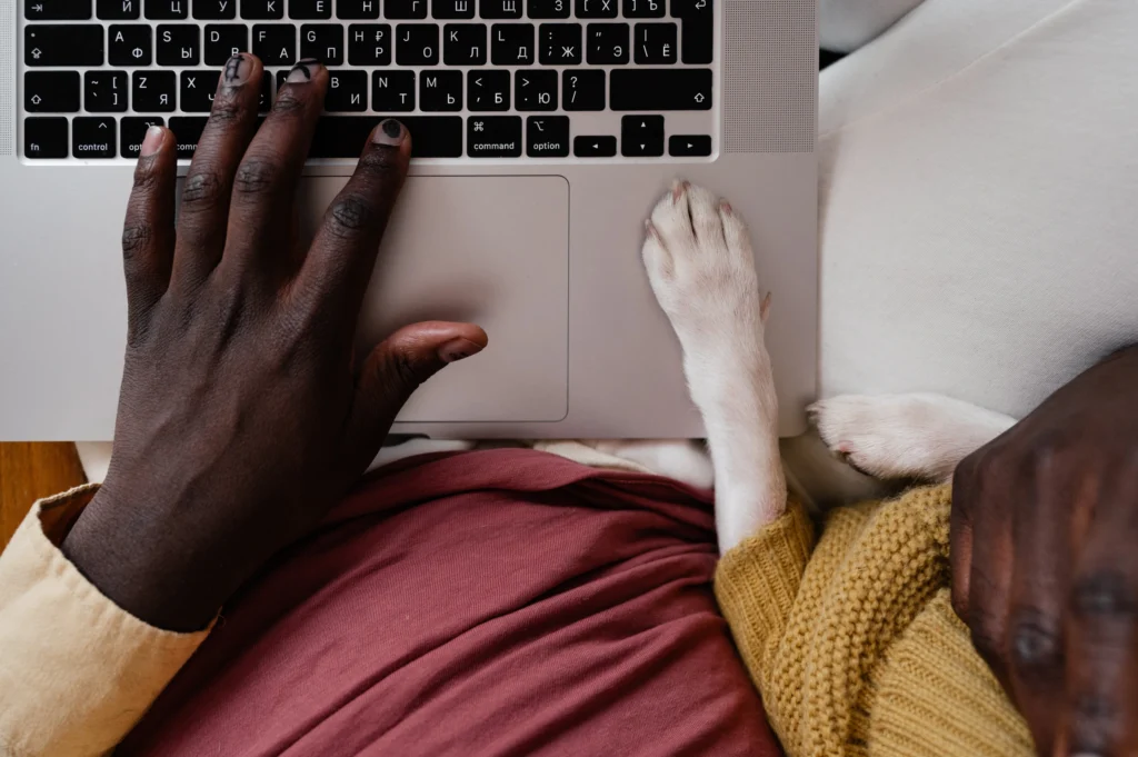 a business owner's hands on a laptop next to a dog's paw
